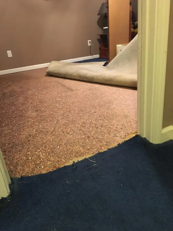 Carpet pad removal revealing water damage during Drying & Dehumidification in Swissvale