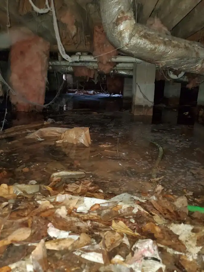 Crawl space flood assessment for Commercial Water Damage Restoration in Swissvale